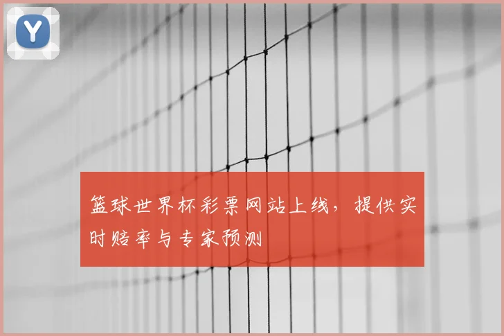篮球世界杯彩票网站上线,提供实时赔率与专家预测