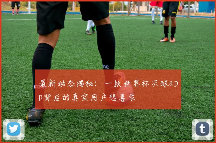 最新动态揭秘：一款世界杯买球app背后的真实用户悲喜录