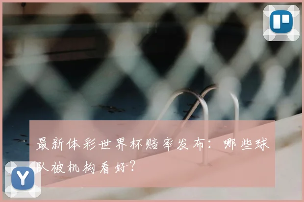 最新体彩世界杯赔率发布:哪些球队被机构看好?